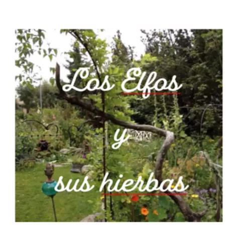 los elfos y sus hierbas