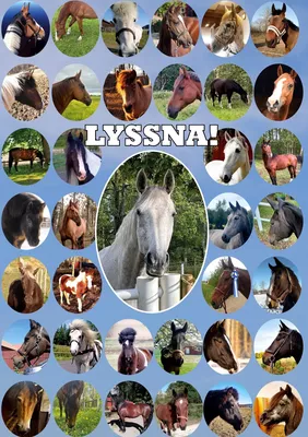 Lyssna!