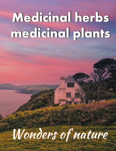 Medicinal herbs / medicinal plants