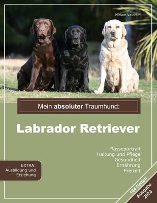 Mein absoluter Traumhund: Labrador Retriever