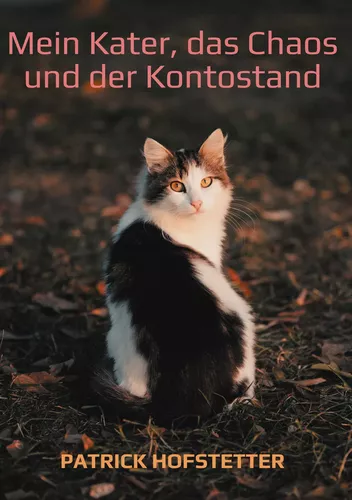 Mein Kater, das Chaos und der Kontostand