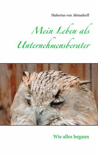 Mein Leben als Unternehmensberater