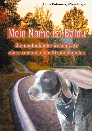 Mein Name ist Balou