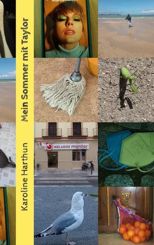 Mein Sommer mit Taylor