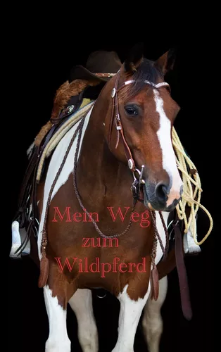 Mein Weg zum Wildpferd