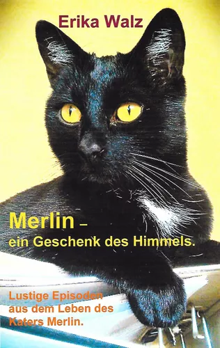 Merlin - ein Geschenk des Himmels.