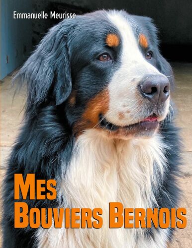 Mes Bouviers Bernois