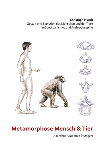 Metamorphose Mensch und Tier