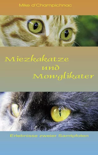 Miezkakatze und Mowglikater