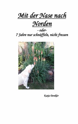 Mit der Nase nach Norden