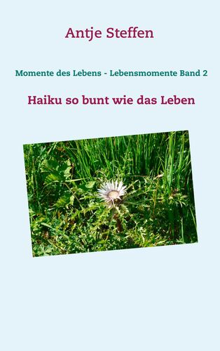 Momente des Lebens - Lebensmomente Band 2