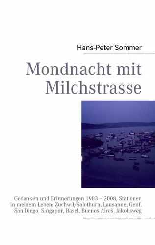 Mondnacht mit Milchstrasse