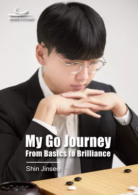 My Go Journey