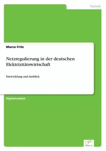 Netzregulierung in der deutschen Elektrizitätswirtschaft