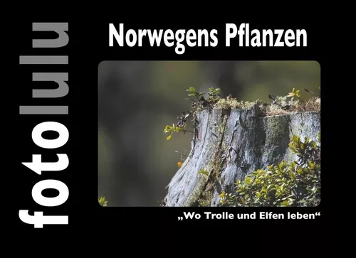 Norwegens Pflanzen