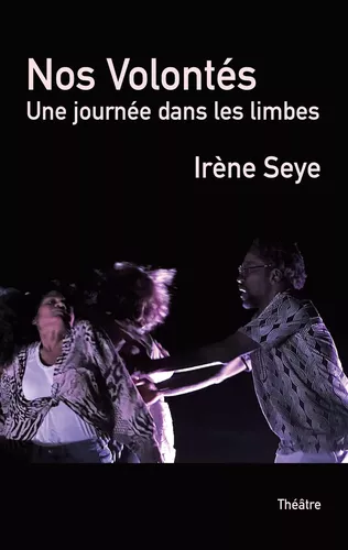 Nos Volontés - une journée dans les limbes