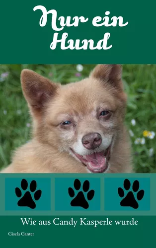 Nur ein Hund