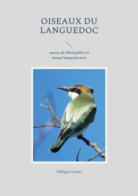 Oiseaux du Languedoc