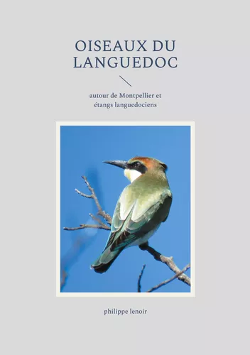 Oiseaux du Languedoc