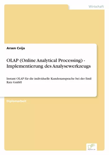 OLAP (Online Analytical Processing) - Implementierung des Analysewerkzeugs