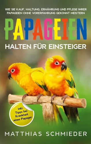Papageien halten für Einsteiger
