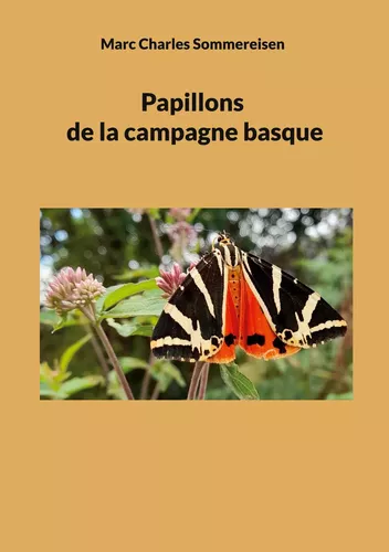 Papillons de la campagne basque