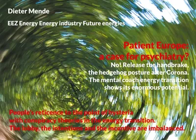 Patient Europe: a case for psychiatry? No! Release the handbrake, the hedgehog posture after Corona.