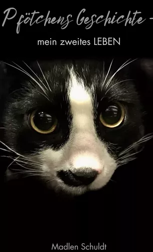 Pfötchens Geschichte