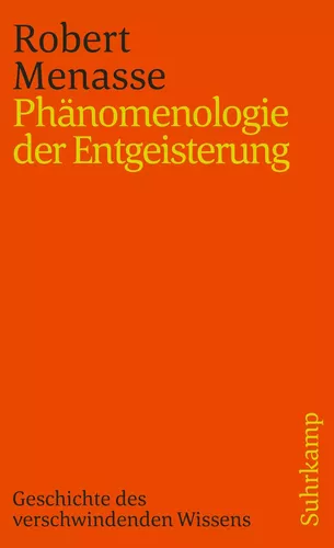 Phänomenologie der Entgeisterung