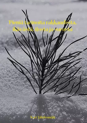 Pieniä tarinoita rakkaudesta, ikävästä, ilosta ja surusta