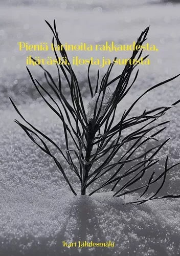 Pieniä tarinoita rakkaudesta, ikävästä, ilosta ja surusta