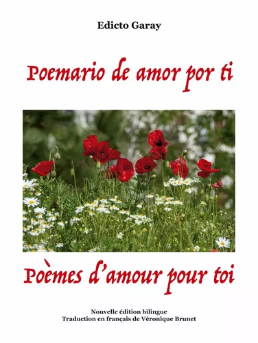 Poemario de amor por ti