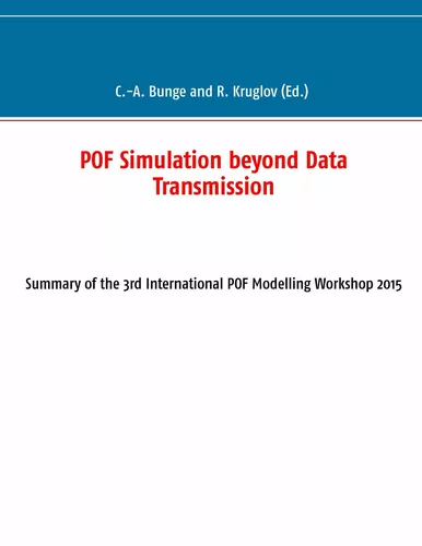 POF Simulation beyond Data Transmission