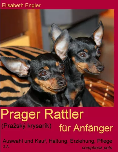 Prager Rattler (Pražský krysarík) für Anfänger