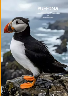 Puffins lange Reise ins Ungewisse