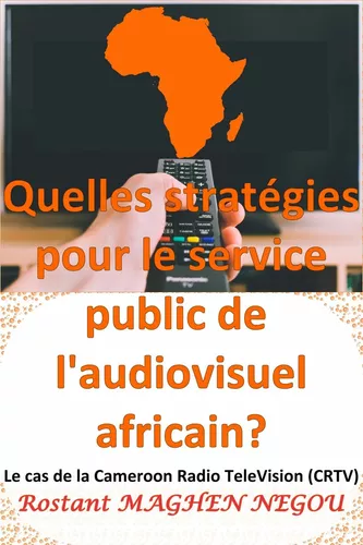 Quelles stratégies pour le service public de l'audiovisuel africain? : Le cas de la Cameroun Radio TeleVision (CRTV)