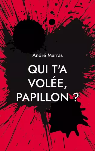 Qui t'a volée, Papillon ?