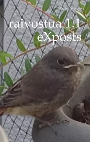 raivostua 1.1