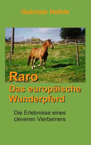 Raro, das europäische Wunderpferd