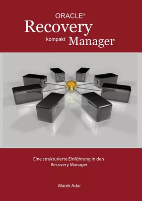 Recovery Manager Kompakt