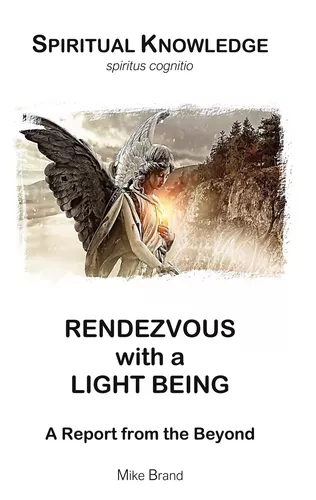 Rendezvous with a Light Being