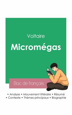 Réussir son Bac de français 2023 : Analyse de Micromégas de Voltaire