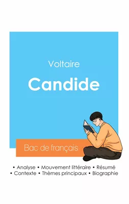 Réussir son Bac de français 2024 : Analyse de Candide de Voltaire