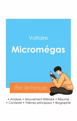 Réussir son Bac de français 2024 : Analyse de Micromégas de Voltaire
