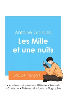 Réussir son Bac de français 2024 : Analyse des Mille et une nuits de Antoine Galland