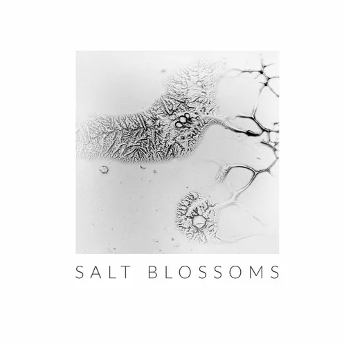 Salt Blossoms