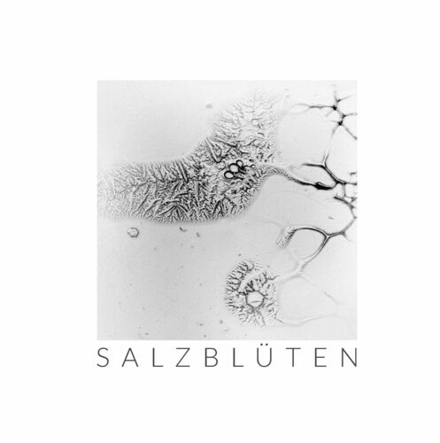 Salzblüten