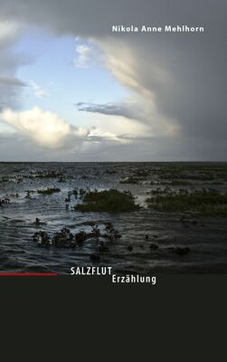 Salzflut