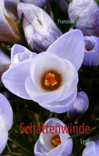 Schattenwinde