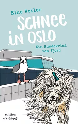 Schnee in Oslo